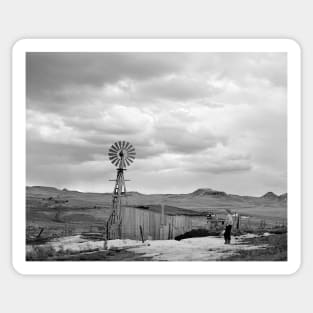 Montana Sheep Ranch, 1942. Vintage Photo Sticker